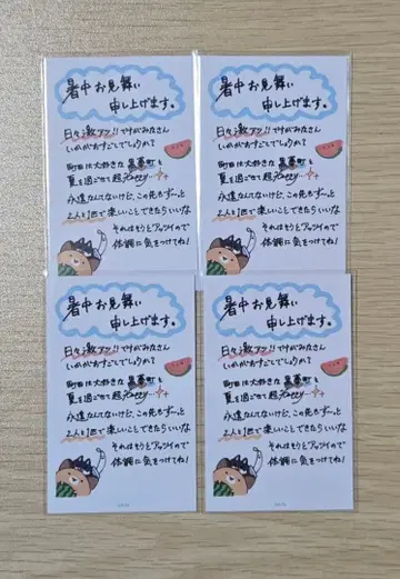 니지산지 마치다 치마 폴라로이드