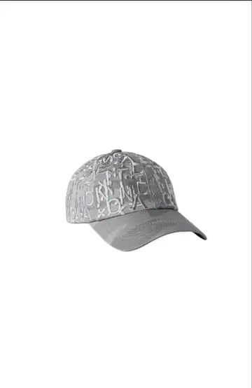 GADIDANONIEM 캡 TOY/GRAY