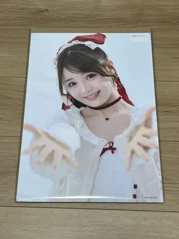 후루사와 리사 포스터