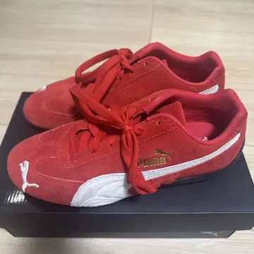 PUMA 스피드캣