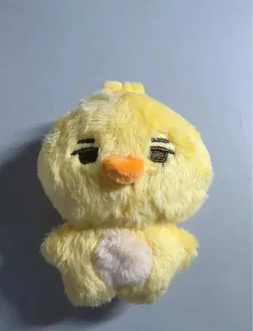 ENHYPEN 에나프 엔하이픈 니키 NI-KI 마스터 인형