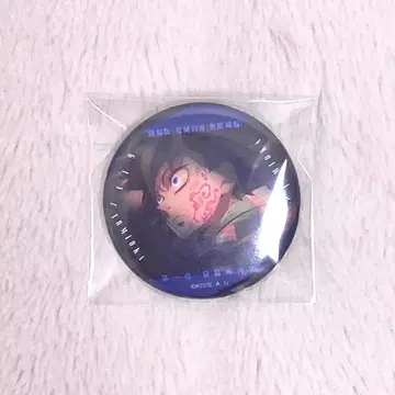 귀멸의 칼날 무한성 이야기가 담긴 눈빛 A 캔뱃지 토미오카 기유 아자