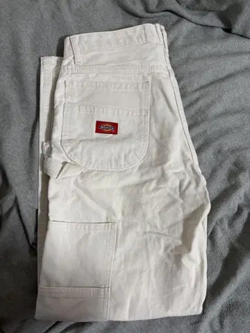 Dickies 페인터 팬츠