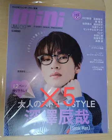 mini 후카사와 타츠야 표지