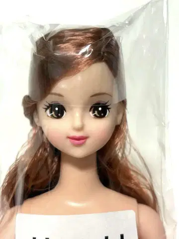 리카짱 캐슬 제니 프렌드 사유리