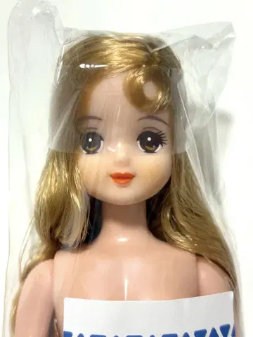리카짱 캐슬 리카짱 프렌드 미호짱