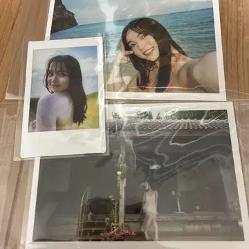 사카마키 아리사 생 폴라로이드 사진 라케시스 가면라이더 갓차드 아리사
