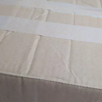 삐요 씨