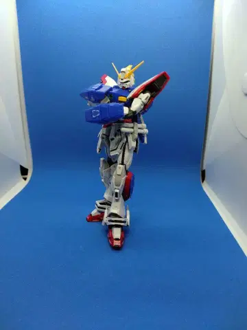 RG 샤이닝 건담 기본 조립 완성품