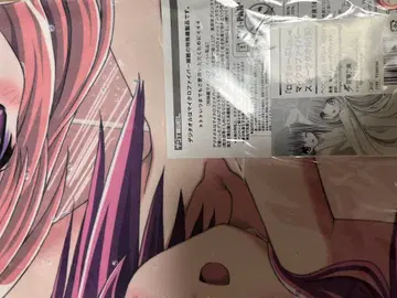 미나토 치카 & 하카마다 히나타 극세사 스포츠 타월 [ 로큐브!SS ]