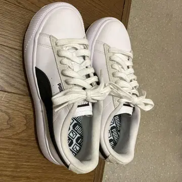 PUMAMAYU 푸마마유 25.5