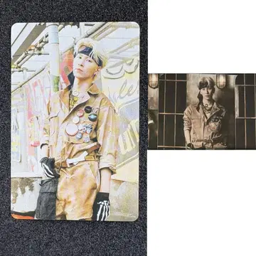 하세가와 신 라키도로 외장 트레이딩 카드 HMV