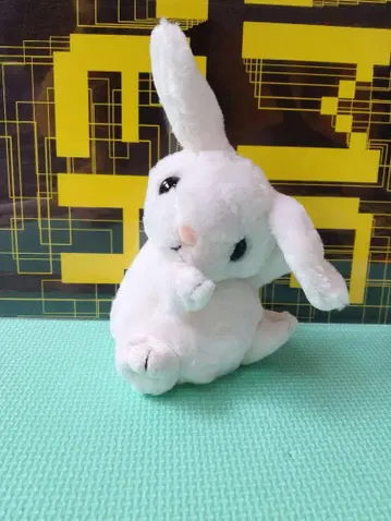 티모 토끼 봉제 인형