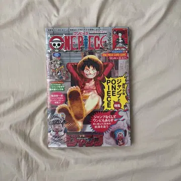 원피스 매거진 ONEPIECEmagazine 특집 20호