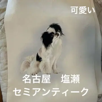나고야 친 손글씨 시오제 오비