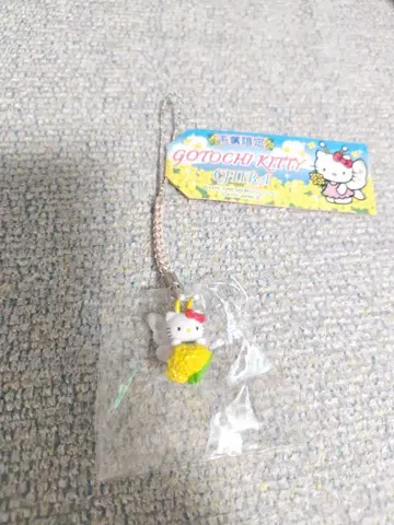 고토치 키티 키티 치바현 유채꽃 나비 초레어