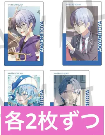 프로세카 에피카 ePick card 23C 24C 비비버스 토야