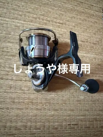 다이와 20 루비아스 LT 3000S-CXH