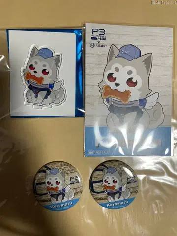 페르소나 3 코로마루 R. 베이커