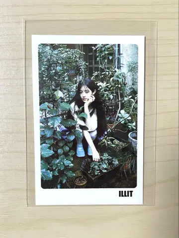 ILLIT 아이릿 아일릿 사진 메시지 카드 민주 MINJU