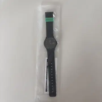 포켓몬 레전즈 ZA 손목시계