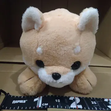 시바견 코로 큰 봉제 인형 택 포함
