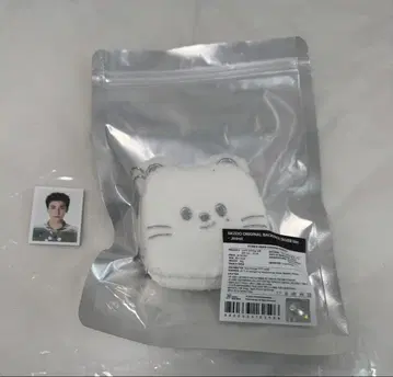 SKZOO 오리지널 백팩 실버 ID 사진 포함