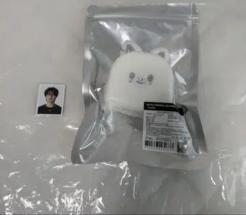 SKZOO 오리지널 백팩 실버 ID 사진 포함