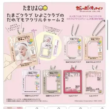 타마고 클럽 병아리 클럽