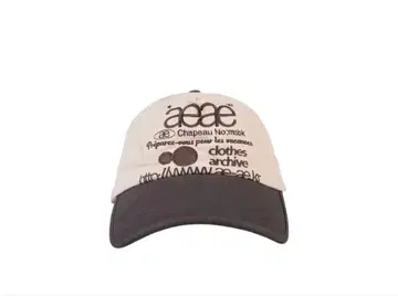 aeae Web logo 5pannel cap
