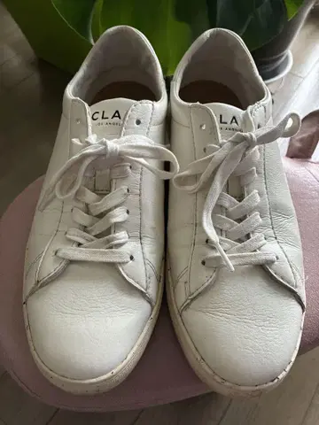 CLAE 클레이 비건 화이트 스니커즈