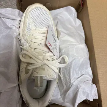 PUMA 와타나베 쇼타 모델