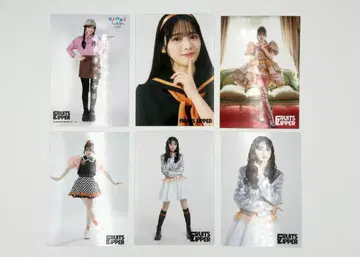 진제 스즈카 / 브로마이드 묶음 판매