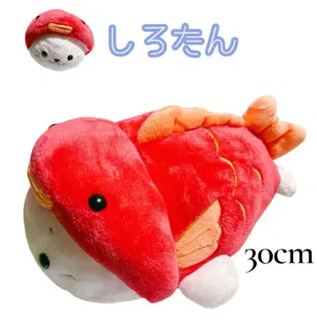 시로탄 도미 모자 봉제 인형 약 30cm