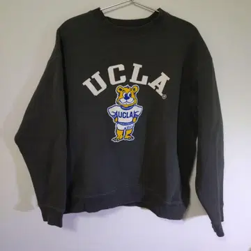 UCLA 베어 플로키 프린트 맨투맨 트레이닝복 Free 사이즈