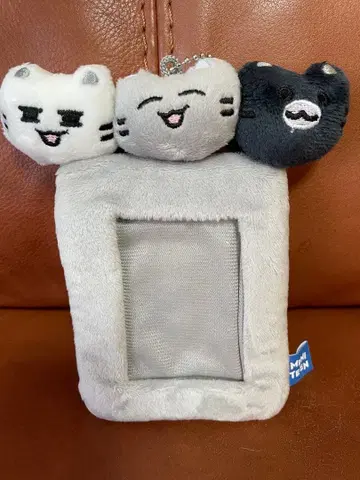 SEVENTEEN 세븐틴 미니틴 준 트레이딩 카드 케이스 고양이