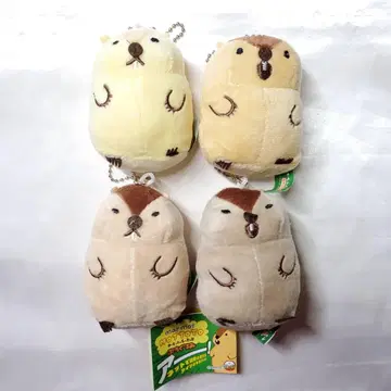 마모트의 모토토 푸치구루미 전 4종 컴프