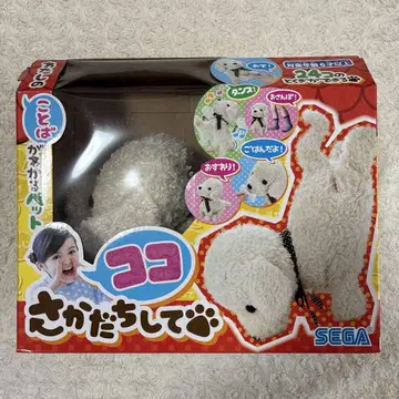 코코 사가다치시테