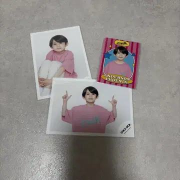 앤더슨 피닉스 공식 사진 프로카