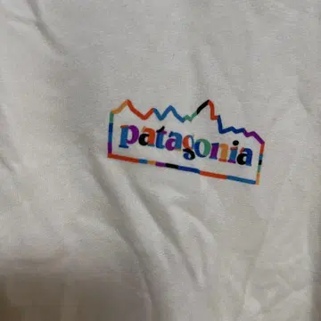 patagonia Wildrise XL 화이트 티셔츠