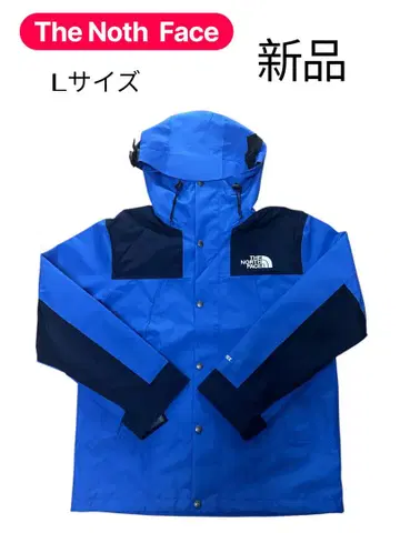 THE NORTH FACE GORE-TEX 마운틴 파카 L 사이즈