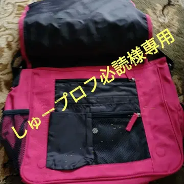 폴로 핑크 숄더백