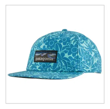 PATAGONIA (파타고니아) 캡