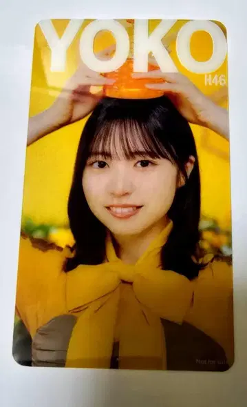 히나타자카 쇼겐지 요코 히나코레 클리어 카드