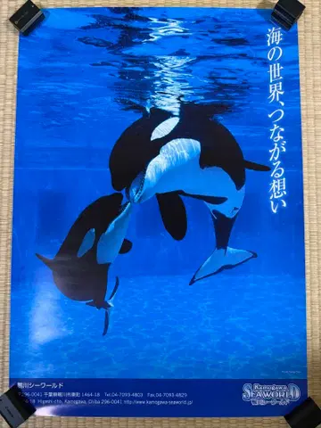 [ 레어 ] 카모가와 씨월드 범고래 포스터 ( B2 사이즈 )
