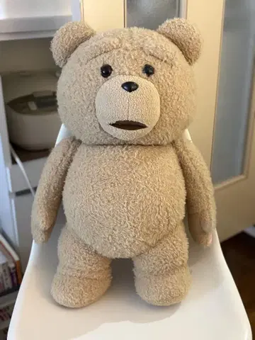 TED 봉제 인형