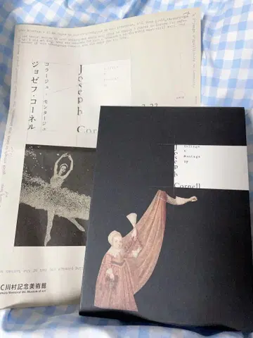 조셉 코넬 콜라주 & 몽타주전 도록