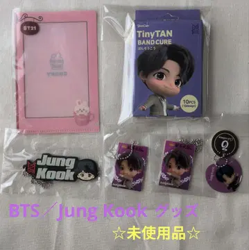 BTS 정국 타이니탄 굿즈 세트