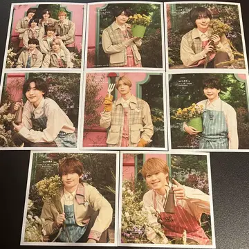 나니와단시 정사각형 사진 Spring 오사카점 한정판 전종 세트