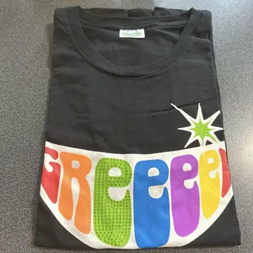 [ 즉시 구매 ] GReeeeN gre4nboyz 티셔츠 XL